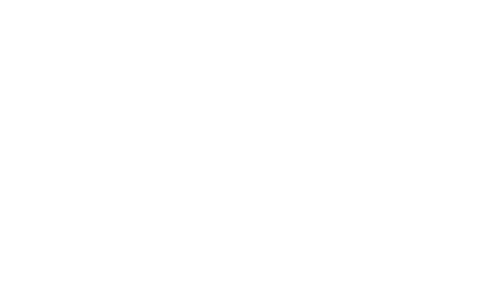 Bats in churches logo